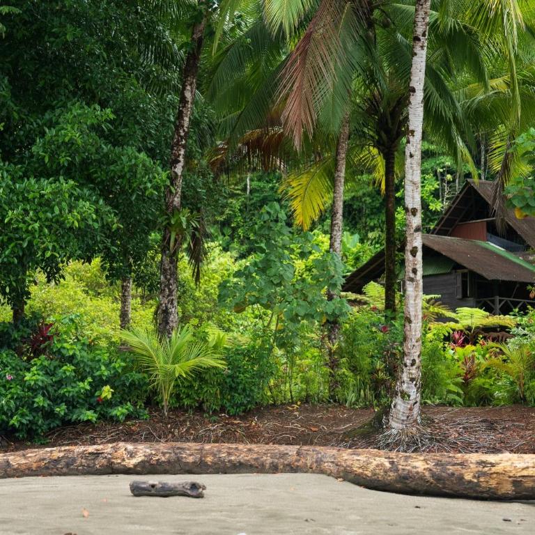 Nuquí Mágico en La Chocoana - Reserva Natural - Deluxe Triple Room with Sea View - 2