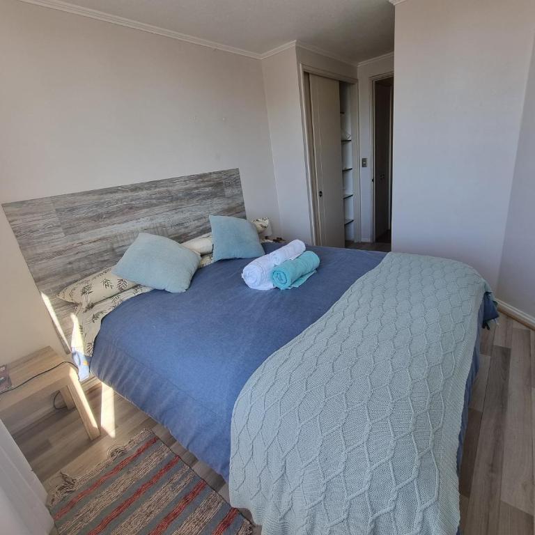 Departamento a pasos de UdeC - Apartamento de 1 dormitorio - 14