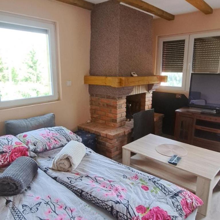 Apartmani Kamini RAVNA PLANINA - One-Bedroom Apartment - 4