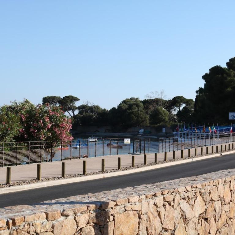 Beau studio Routes des Sanguinaires proche de la plage - Apartment - 3