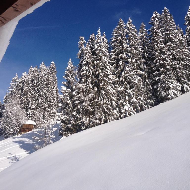 Ferienwohnungen Prosser - Apartment mit 3 Schlafzimmern und Bergblick - 13