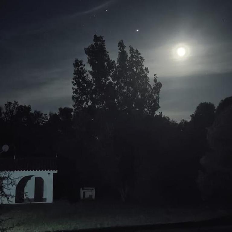 Don Juan M Cabañas - Chalet de 1 dormitorio - 2