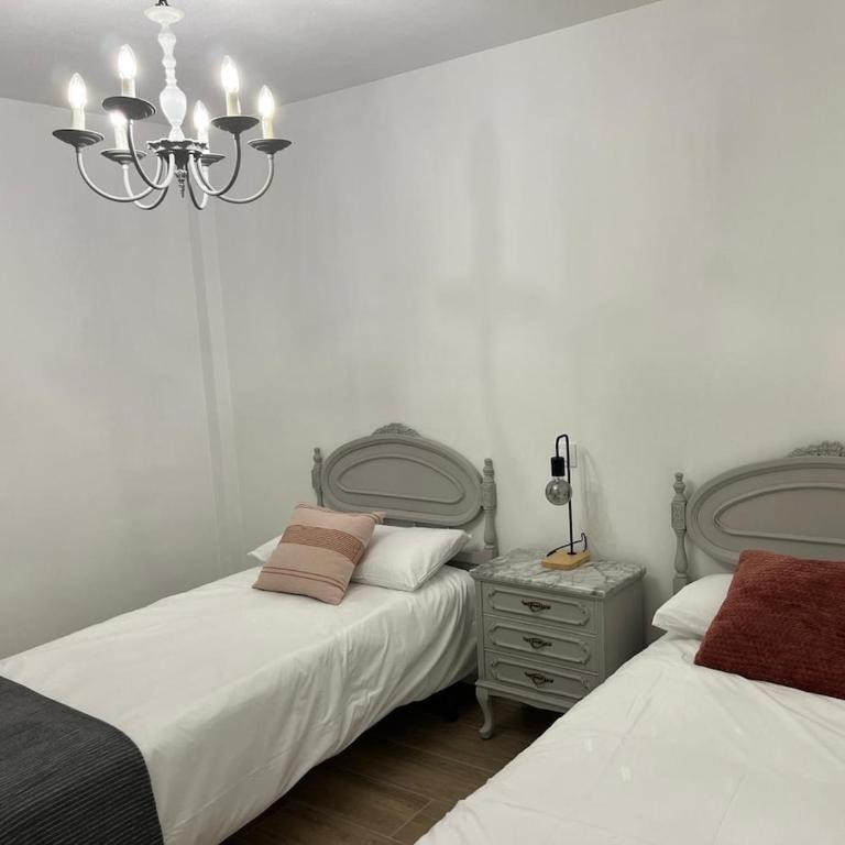 Ruavieja, camino y vino - Apartamento - 26