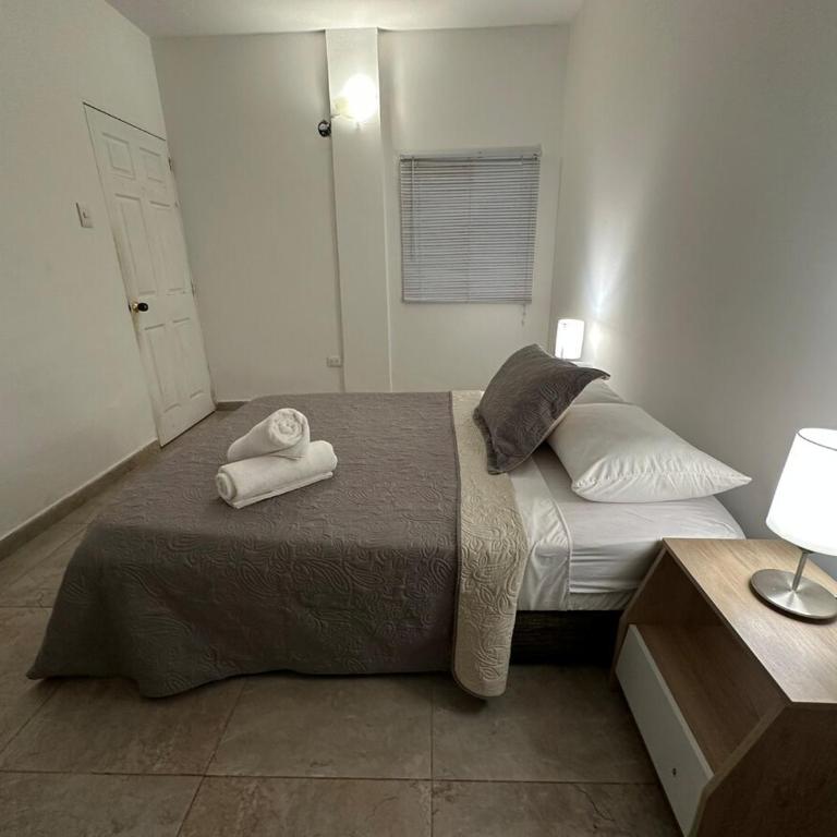 Perfect location! 4 BR Apartment in Downtown - Apartment - 8