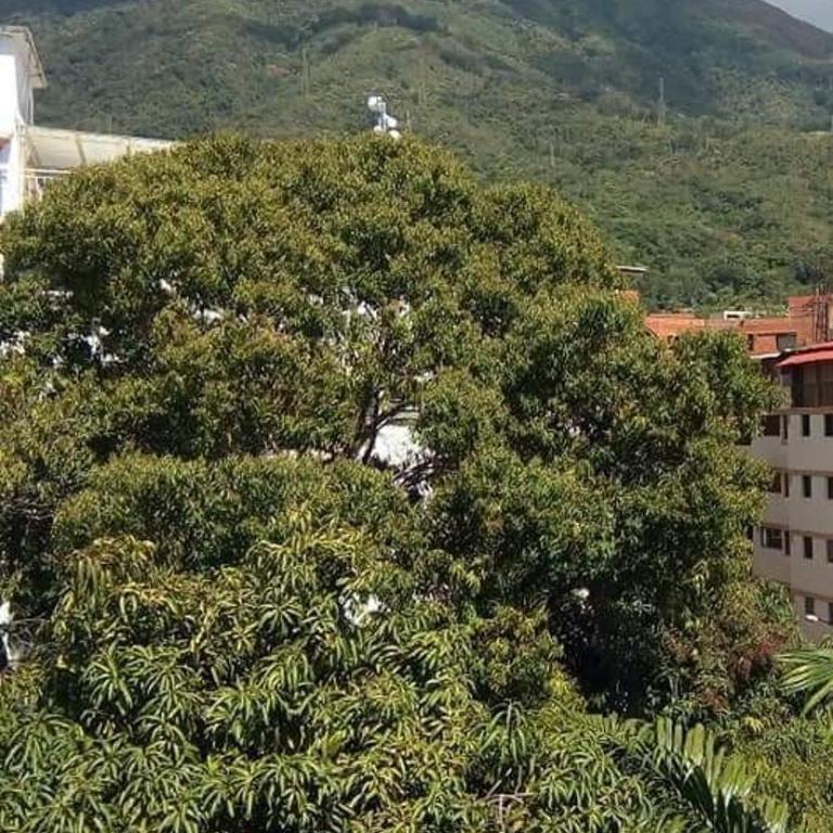 Executive type apartment of 35 meters Sebucan Caracas - One-Bedroom Apartment - 1