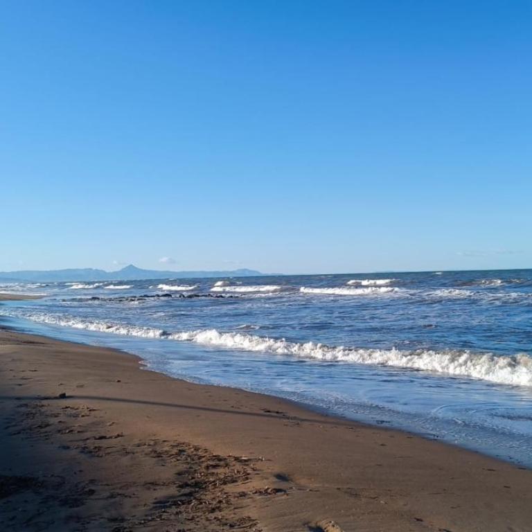 ST Apartamento Les Marines Playa Denia - Apartamento de 1 dormitorio - 23