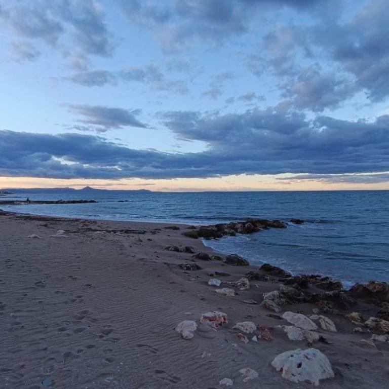 ST Apartamento Les Marines Playa Denia - Apartamento de 1 dormitorio - 24