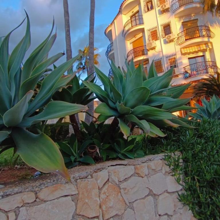 ST Apartamento Les Marines Playa Denia - Apartamento de 1 dormitorio - 21