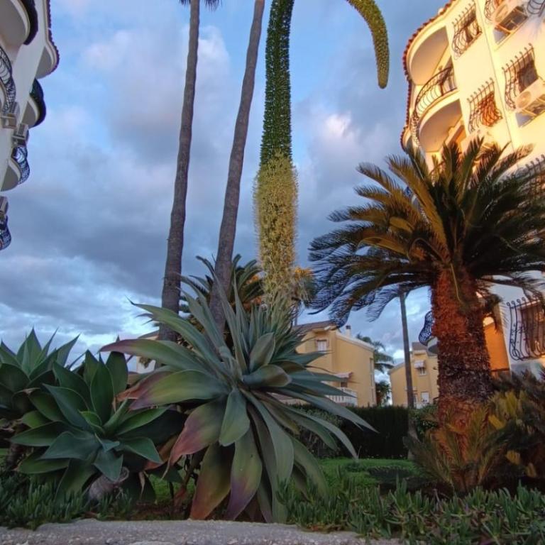 ST Apartamento Les Marines Playa Denia - Apartamento de 1 dormitorio - 22