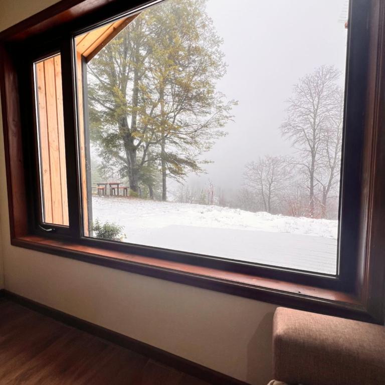 Cabañas Altos del Sollipulli - Two-Bedroom Chalet - 9