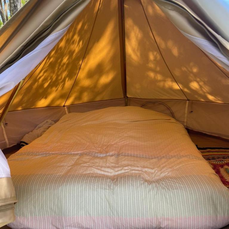 Glamping peumayen - Tent - 5