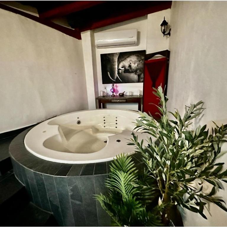 Luxury Villa Rental in Puerto Vallarta - Villa with Private Pool - 16