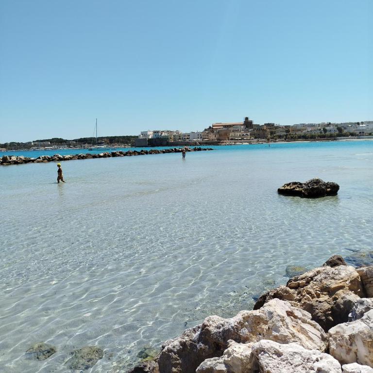 Casetta Margherita - One-Bedroom Apartment - 40