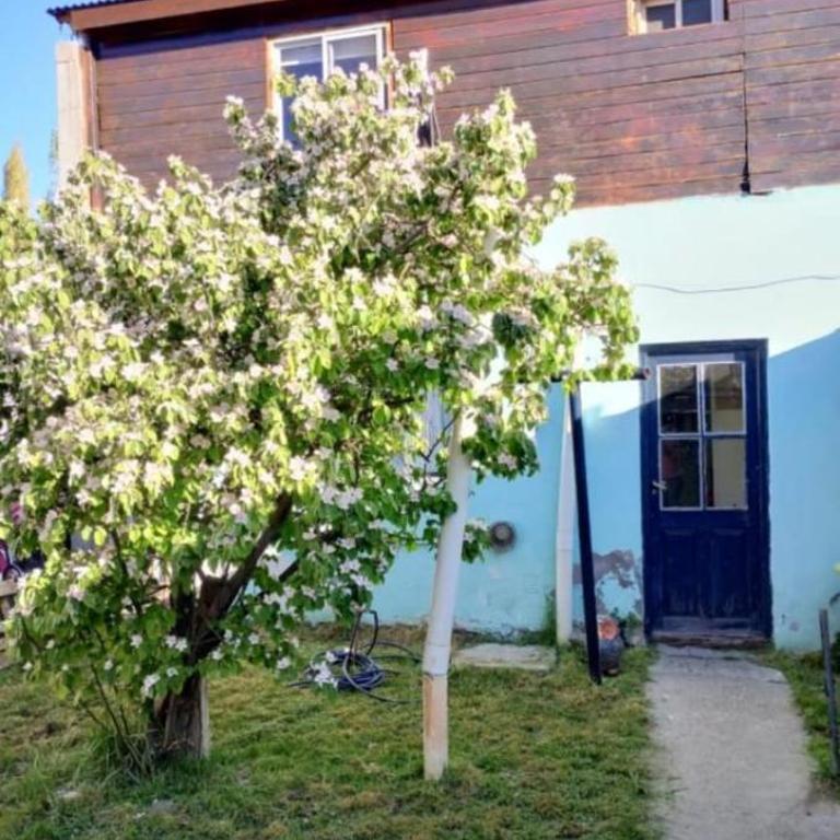 Departamento Los Antiguos - Apartamento de 2 dormitorios - 10