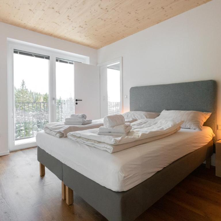 Arton Lachtal - Apartments Steiermark - Penthouse-Apartment - 6