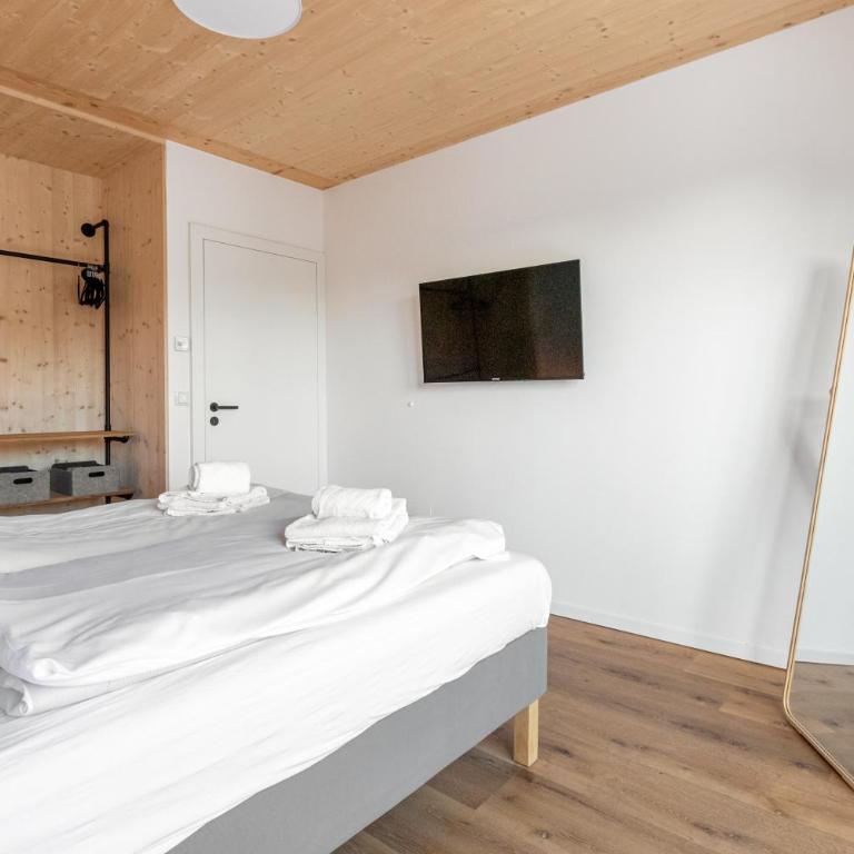 Arton Lachtal - Apartments Steiermark - Penthouse-Apartment - 10