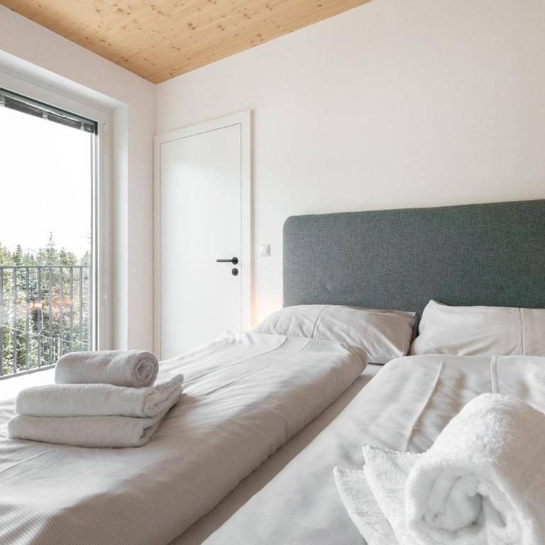 Arton Lachtal - Apartments Steiermark - Penthouse-Apartment - 11