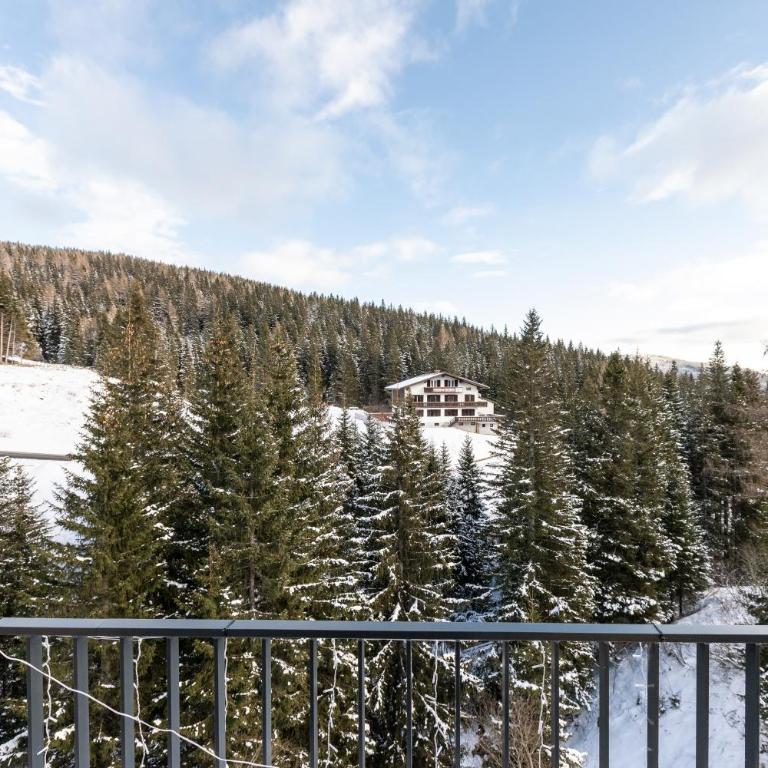 Arton Lachtal - Apartments Steiermark - Penthouse-Apartment - 12