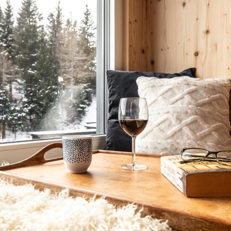 Arton Lachtal - Apartments Steiermark - Penthouse-Apartment - 2