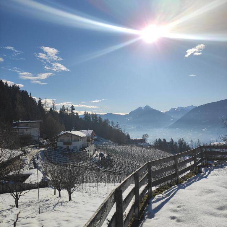 Prünsterhof Schenna - Appartamento con Vista e Balcone - 22