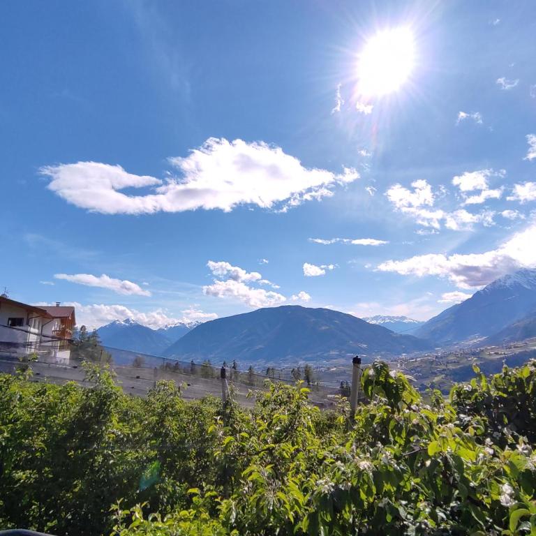 Prünsterhof Schenna - Appartamento con Vista e Balcone - 24