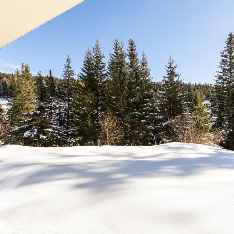 Arton Lachtal - Apartments Steiermark - Deluxe Apartment - 16