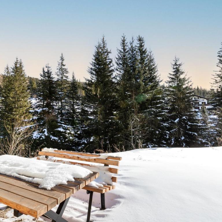 Arton Lachtal - Apartments Steiermark - Deluxe Apartment - 17
