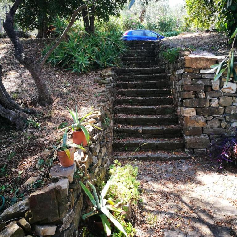 Cottage VIVI tra mare e ulivi - Casa Vacanze con 3 Camere da Letto - 26