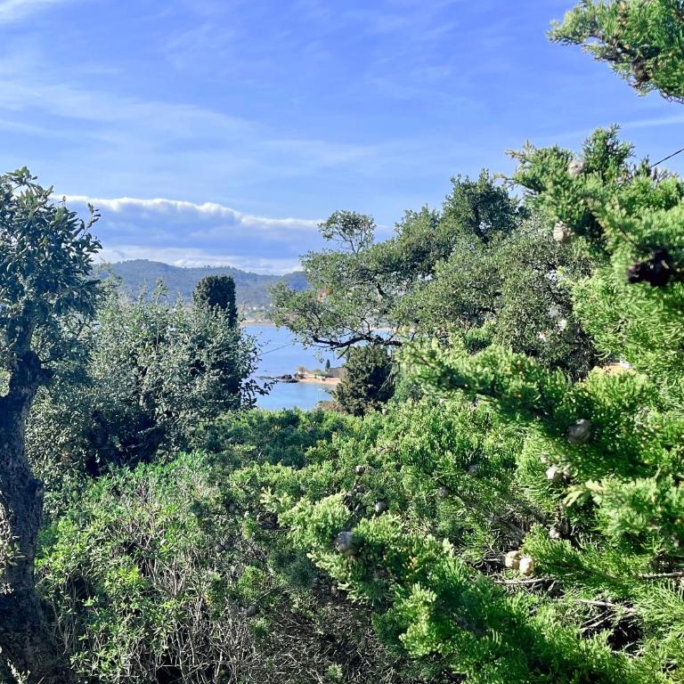 Appartement avec jardin proche de la mer - Appartement 1 Chambre - 50