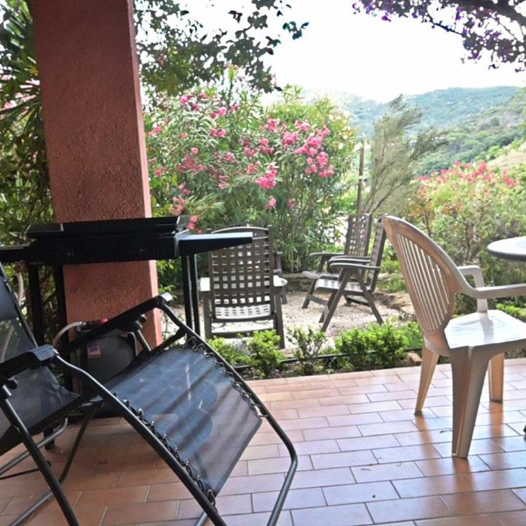 Appartement collioure - Appartement 1 Chambre - 11