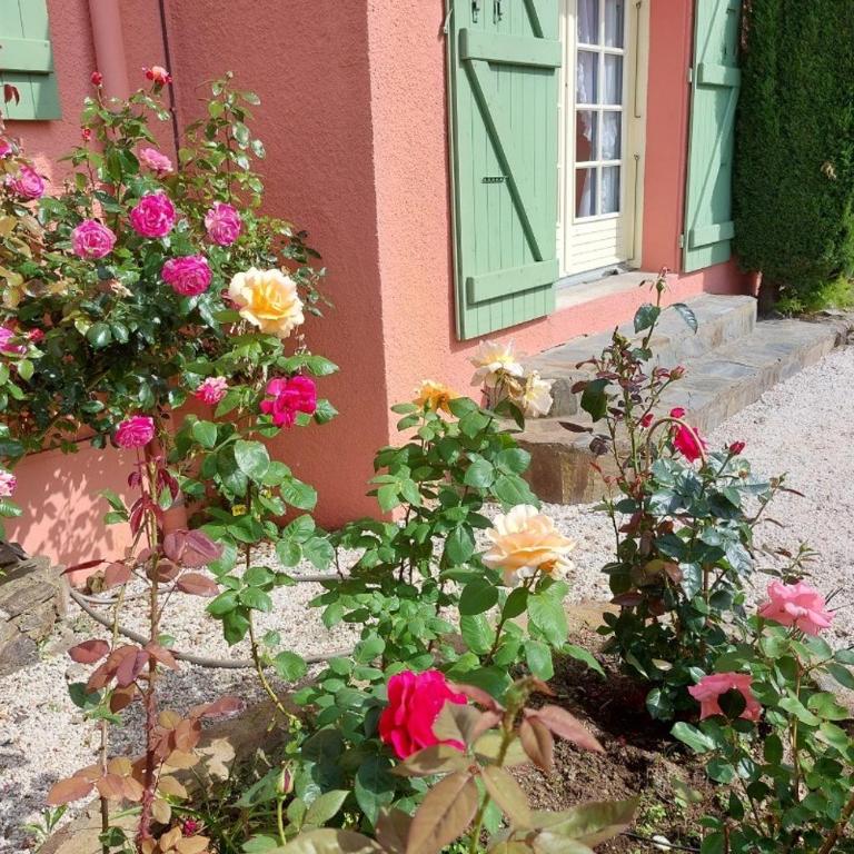 Appartement collioure - Appartement 1 Chambre - 15