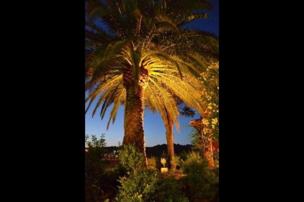 Appartement collioure - Appartement 1 Chambre - 17