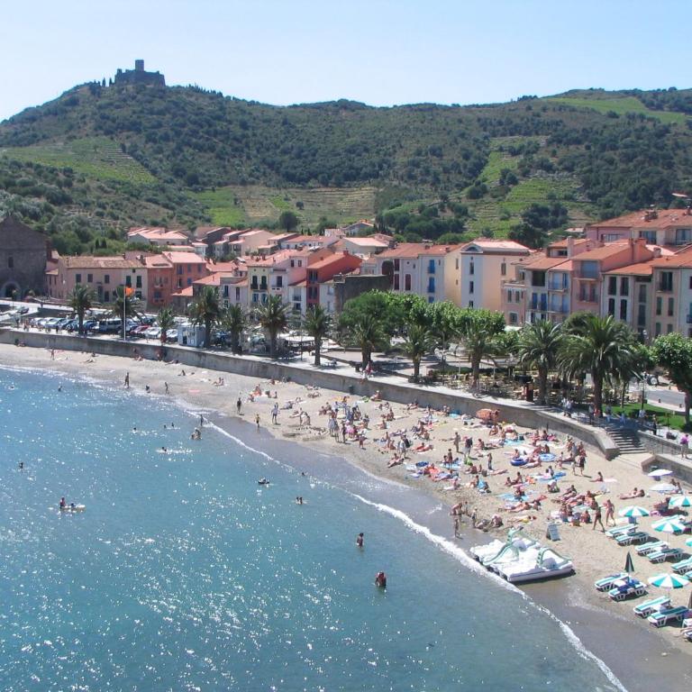 Appartement collioure - Appartement 1 Chambre - 39