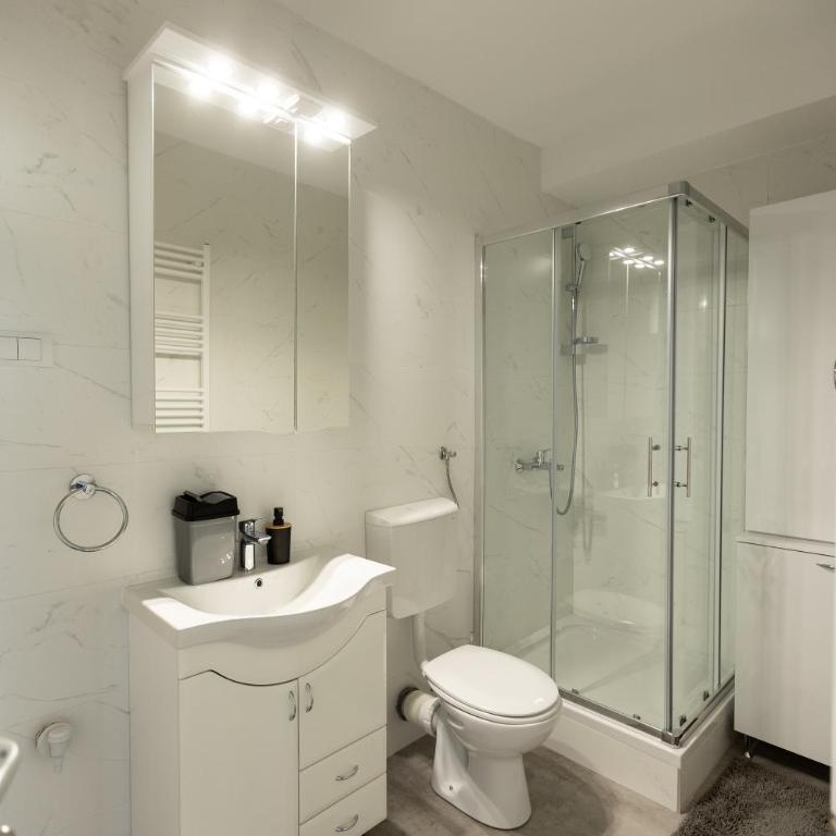 KAME LUX apartmani 亀 Free Parking - Deluks Dvokrevetna Soba s Bračnim Krevetom (2 odrasle osobe + 1 dete) - 16