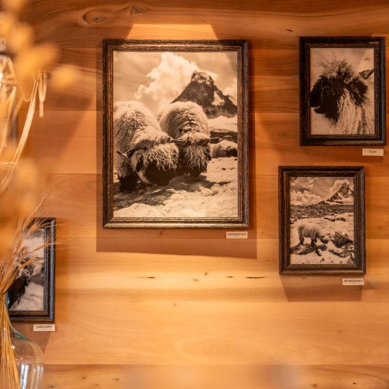 Sonnmatten Boutique Hotel & Apartments Zermatt - Budget Einzelzimmer - 26