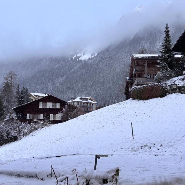 Appartement Wengen - Charme Alpin - Apartment mit 3 Schlafzimmern - 36