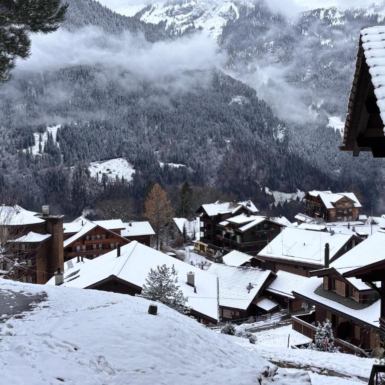Appartement Wengen - Charme Alpin - Apartment mit 3 Schlafzimmern - 37