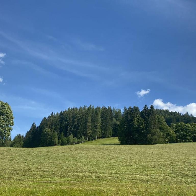 Hörlbauer-Leogang - Apartment mit 2 Schlafzimmern - 33