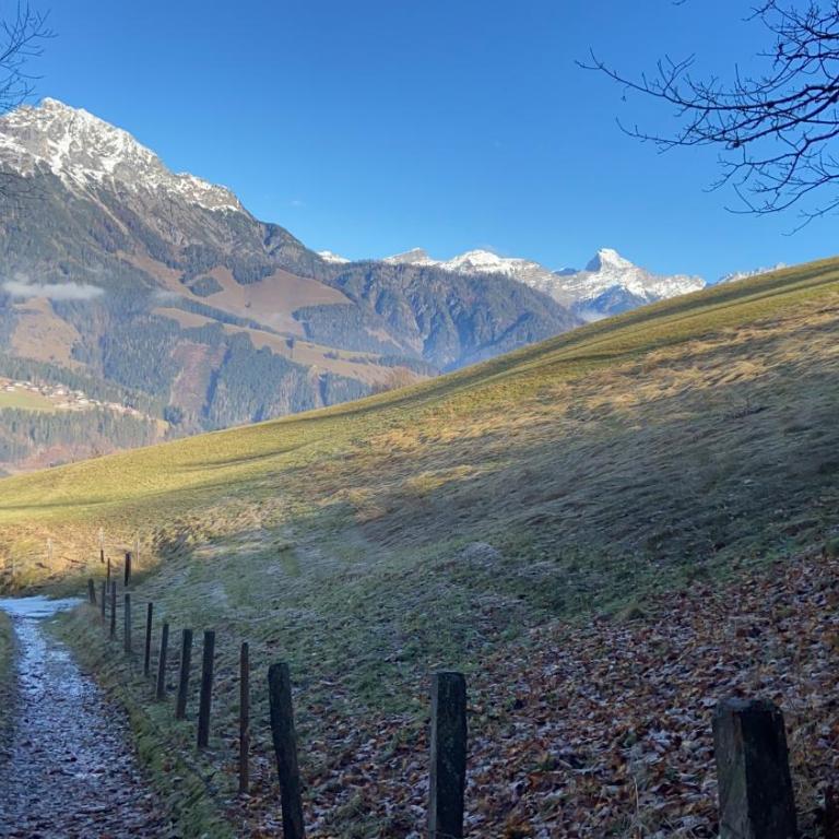 Hörlbauer-Leogang - Apartment mit 2 Schlafzimmern - 46