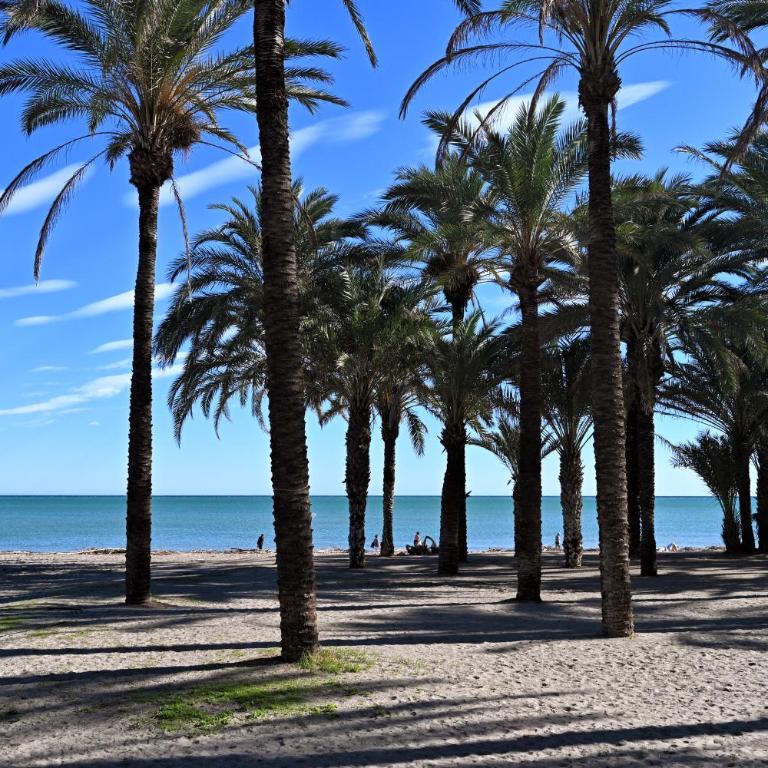 Love Rent4 Málaga Alamar - Apartamento de 1 dormitorio - 15