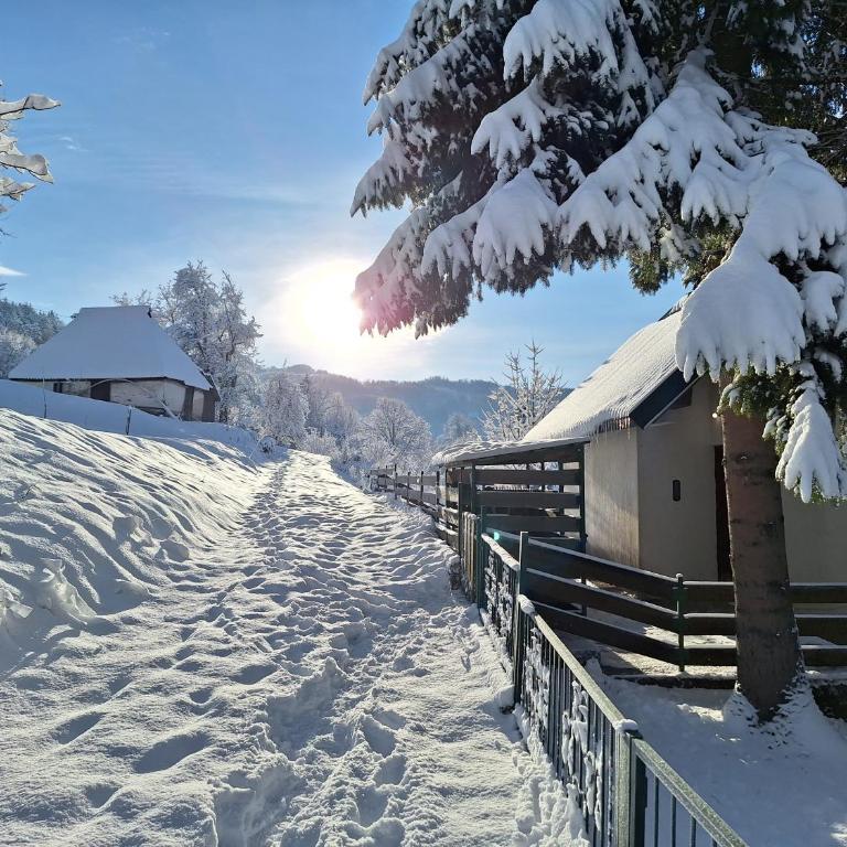 Braun Apartments - Apartman sa 1 Spavaćom Sobom - 12
