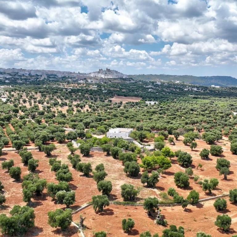 Masseria Isaia By Raro Villas - Villa - 52