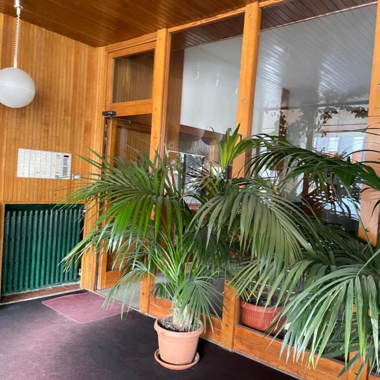 Casa di Matteo - Monolocale - 3