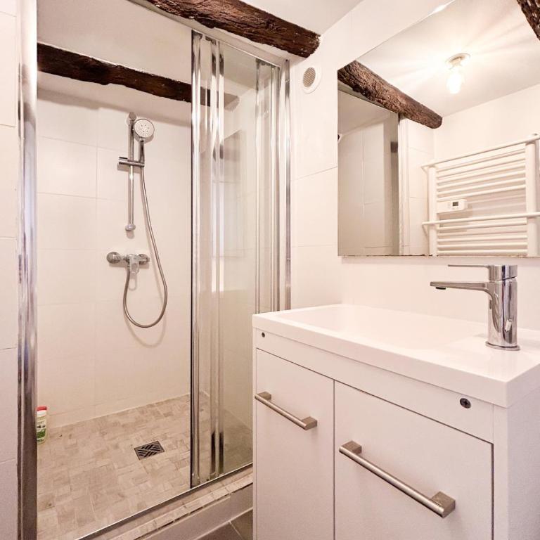 Saint Anne - coeur de ville - One-Bedroom Apartment - 4
