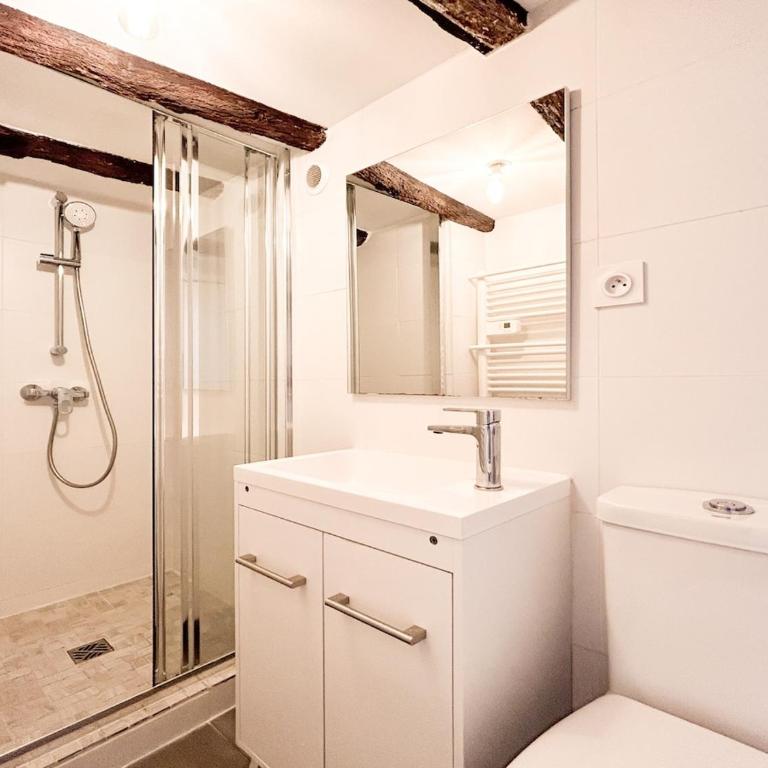 Saint Anne - coeur de ville - One-Bedroom Apartment - 6