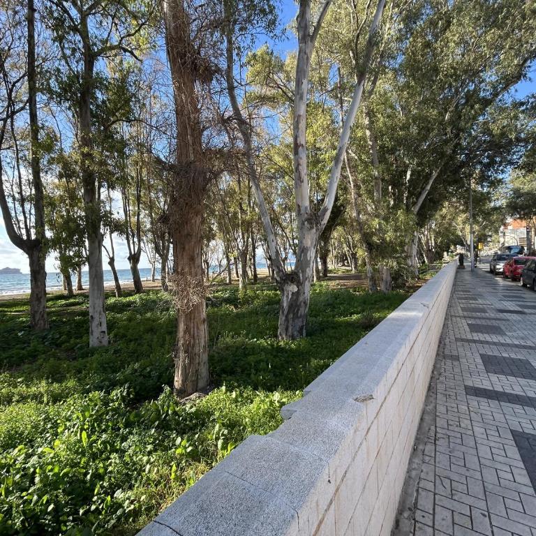Bolivia Beach Suite A - Apartamento de 1 dormitorio - 14