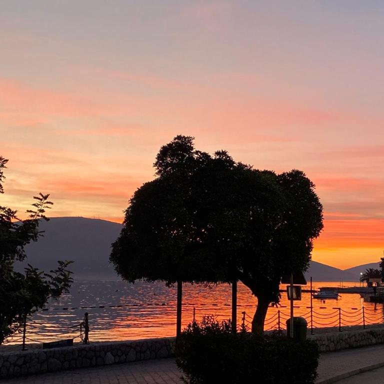 Apartment Casa sul Mare - Apartman sa Terasom - 48