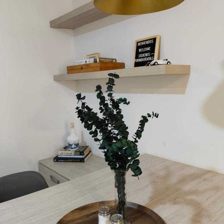 Suite Candelaria Las Aguas 1618 - Apartamento de 1 dormitorio - 7