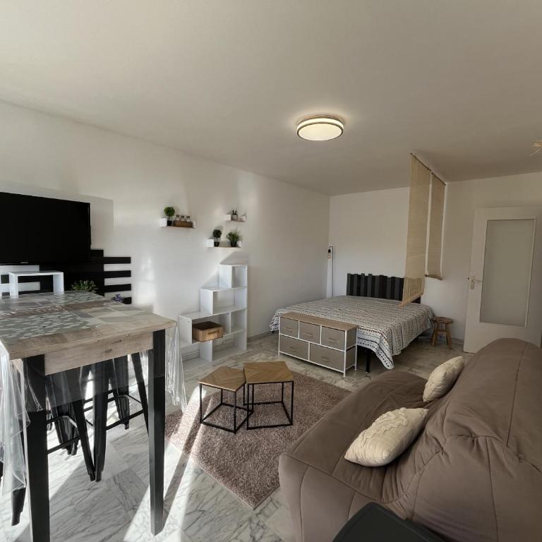 le GENEPY, studio 30m2, 4 p, balcon parking, clim - Standard Studio - 1