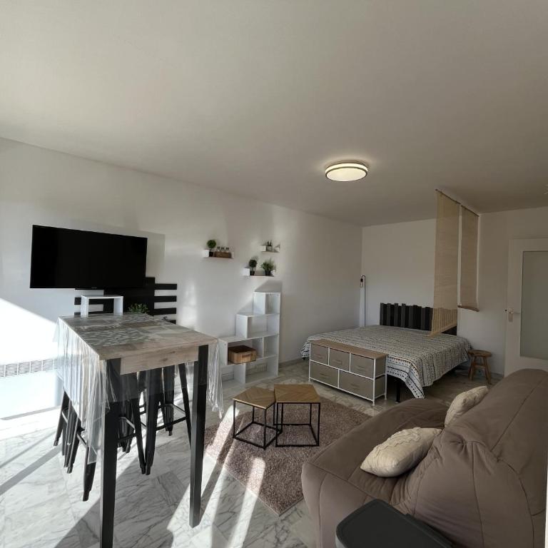 le GENEPY, studio 30m2, 4 p, balcon parking, clim - Standard Studio - 10